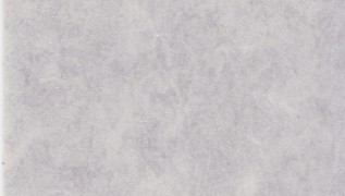 Grabo嘉宝Silver Knight:455-856-275